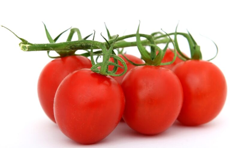 tomatoes, vegetables, food-1238255.jpg